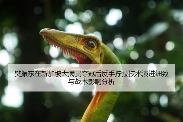 樊振东在新加坡大满贯夺冠后反手拧拉技术演进细致与战术影响分析