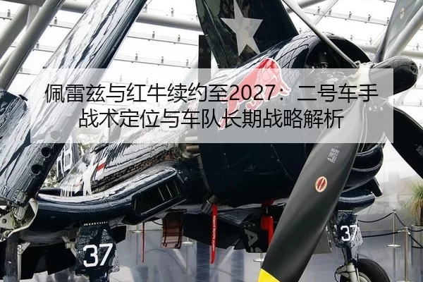 pei-lei-zi-yu-hong-niu-xu-yue-zhi-er-hao-che-shou-zhan-shu-ding-wei-yu-che-dui-chang-qi-zhan-lve-jie-xi-1-335.jpg